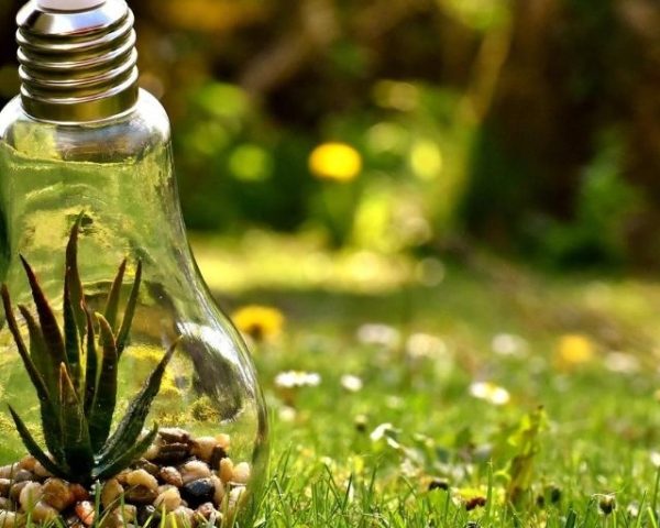 Code Generation - x sito nuovo