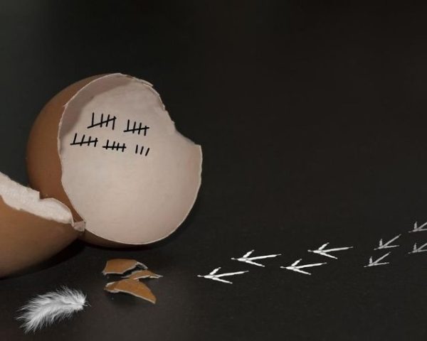 How would I go about creating a programming language_ - new site