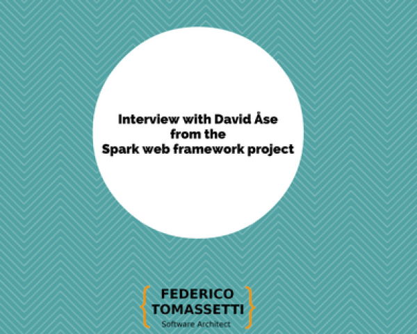 Interview with David Åse from the Spark web framework project
