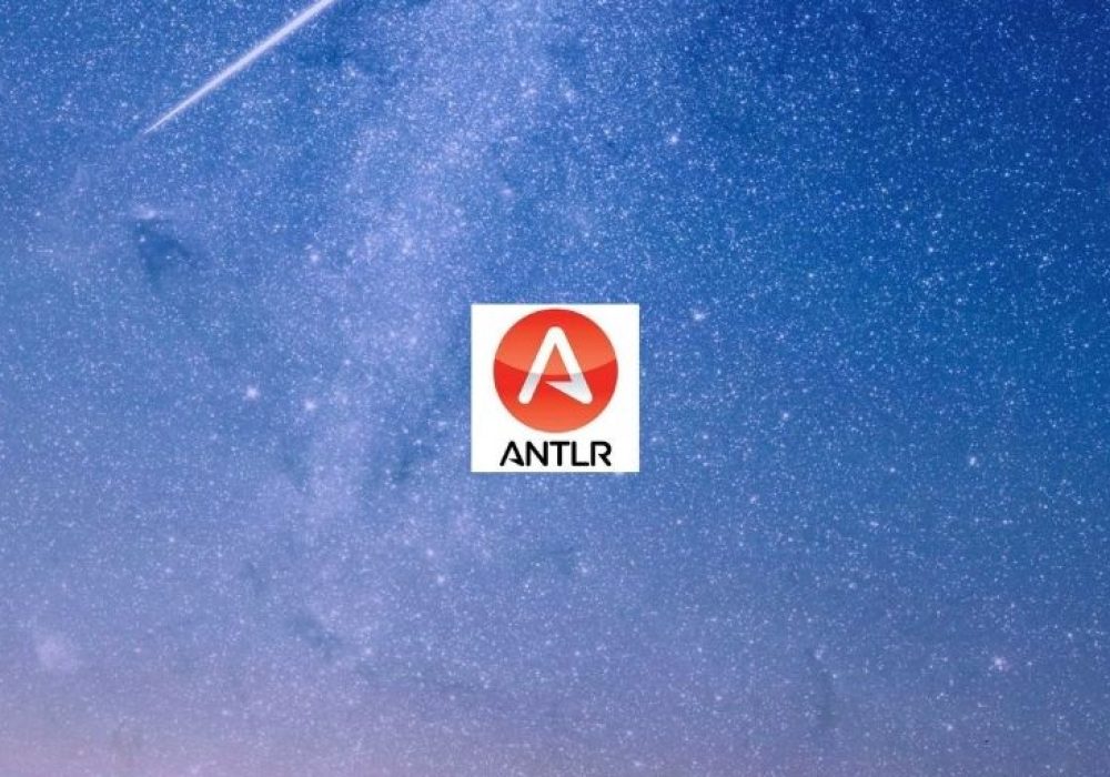 New ANTLR 4.8 x sito nuovo