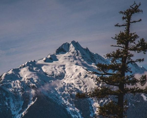 Parsing any language in Java using ANTLR x sito nuovo