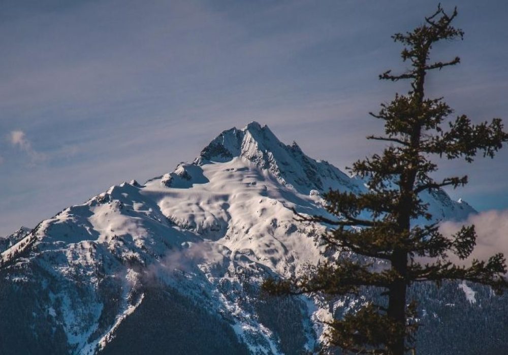 Parsing any language in Java using ANTLR x sito nuovo