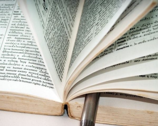 Review of Webassembly in anction