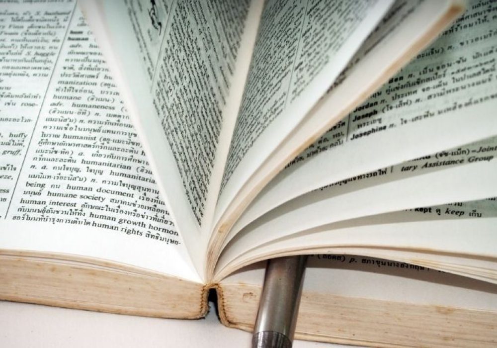 Review of Webassembly in anction