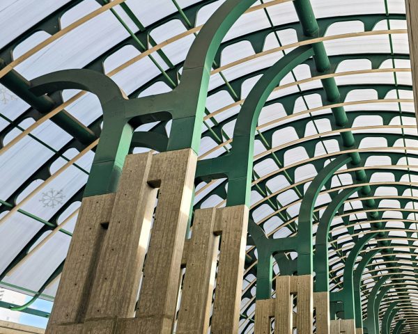 How to use the Visual Basic 6 and the VBA Parser